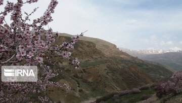 Nature of spring in western Iran