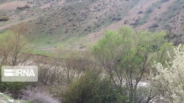 Nature of spring in western Iran