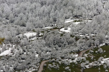 Iran: chutes de neige printanière dans les forêts hyrcaniennes au nord 