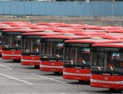 چراغ سبز پایتخت به اتوبوس‌های نو 