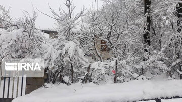 Snowy springtime in northern Iran