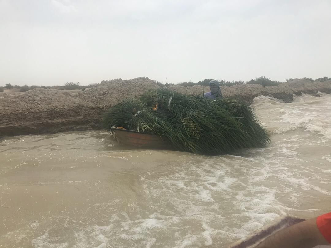 Iran : un soutien de 10 millions d'euros pour la restauration du lagon Hamoun Iran : un soutien de 10 millions d'euros pour la restauration du lagon Hamoun