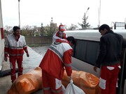اسکان اضطراری ۱۶ خانوار گرفتار سیلاب در خراسان جنوبی