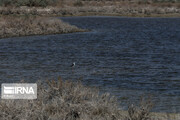 Gopi Babaali int’l wetland ready to host migratory birds
