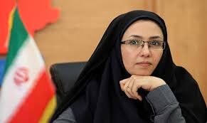 استان بوشهر برای ایجاد بازارچه مجازی محصولات روستایی کشور آماده است استان بوشهر برای ایجاد بازارچه مجازی محصولات روستایی کشور آماده است