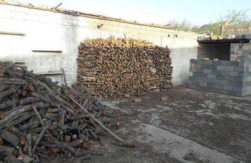 ۱۳۰ تُن چوب بلوط و زغال قاچاق در اصفهان کشف شد