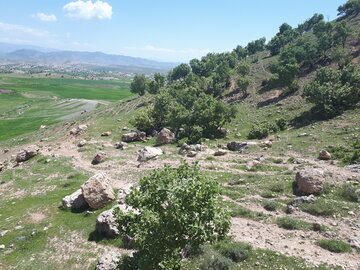 معجزه بهار در روستاهای «جلالوند» کرمانشاه