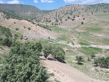 معجزه بهار در روستاهای «جلالوند» کرمانشاه