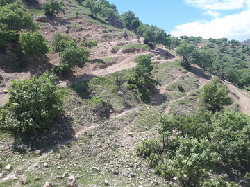 معجزه بهار در روستاهای «جلالوند» کرمانشاه