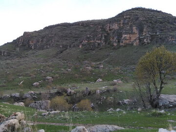 معجزه بهار در روستاهای «جلالوند» کرمانشاه