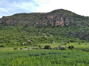 معجزه بهار در روستاهای «جلالوند» کرمانشاه