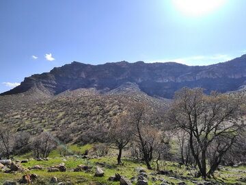 معجزه بهار در روستاهای «جلالوند» کرمانشاه