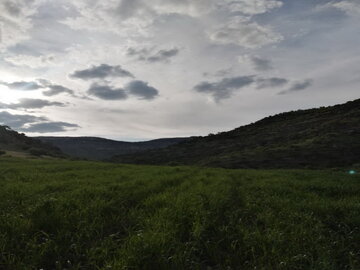 معجزه بهار در روستاهای «جلالوند» کرمانشاه