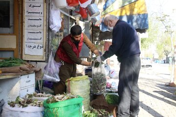 بازار گیاهان خوراکی در مهاباد