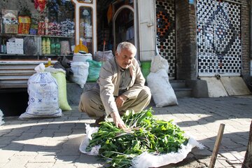 بازار گیاهان خوراکی در مهاباد