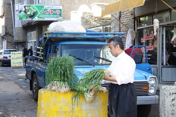 بازار گیاهان خوراکی در مهاباد