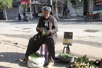 بازار گیاهان خوراکی در مهاباد