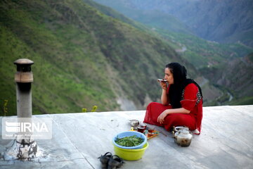 Beauties of spring in western Iran on the slopes of Mount Shahu