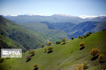 Beauties of spring in western Iran on the slopes of Mount Shahu