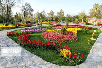 Tulips Fest in the Industrial Capital of Iran