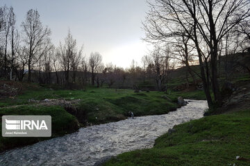 Spring nature in west Iran