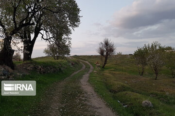 Spring nature in west Iran