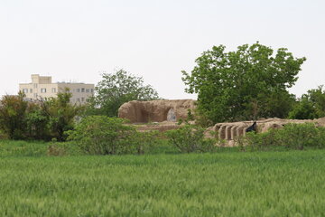 واگیره خوت