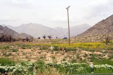 طبیعت زیبای روستای دره سیر در شهرستان  تفت یزد