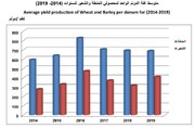 عراق پس از ۵۰ سال در تولید گندم به خودکفایی رسید