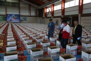 هلال احمر مازندران سه هزار بسته معیشتی میان نیازمندان توزیع کرد
