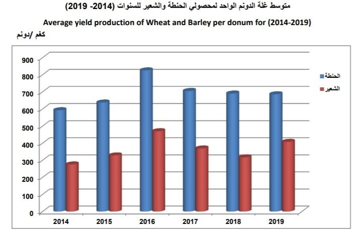 عراق پس از ۵۰ سال در تولید گندم به خودکفایی رسید