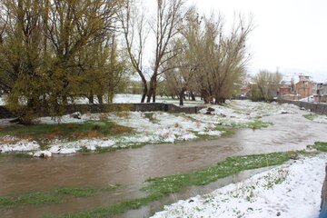 برف و شکوفه های بهاری