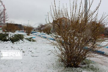 Snowfall in north western Iran; Khalkhal City