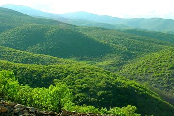 سردشت صاحب سایت گردشگری می‌شود