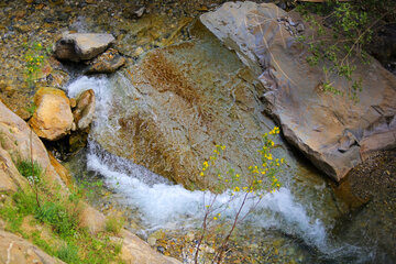 Nature printanière du village de Sekonj