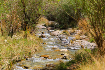 Nature printanière du village de Sekonj