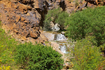 Nature printanière du village de Sekonj