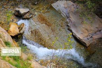 Spring time in Sekonj village in Kerman Southern Iran