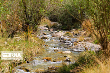 Spring time in Sekonj village in Kerman Southern Iran