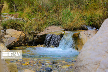 Spring time in Sekonj village in Kerman Southern Iran