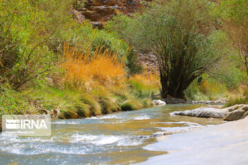 Spring time in Sekonj village in Kerman Southern Iran