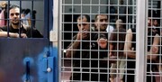جنبش فتح: اعدام اسیران فلسطینی اقدامی فاشیستی است