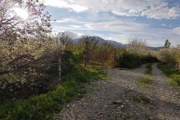 Florecen los árboles en Oshnavieh