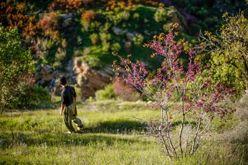 دره ارغوان در مسیر رودخانه سیروان