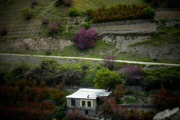 دره ارغوان در مسیر رودخانه سیروان