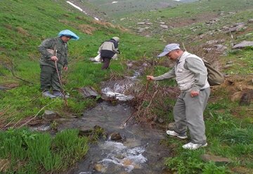 وضعیت مناسب سمندرکردستانی در بوکان