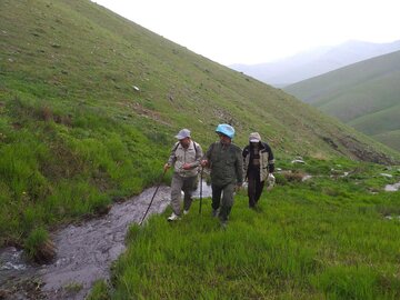 وضعیت مناسب سمندرکردستانی در بوکان