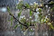  بارندگی اردیبهشت ماه مازندران  ۱۱ درصد کاهش داشته است