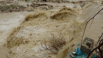 یک روستایی بر اثر سیلاب در شهرستان گرمی مغان جان باخت