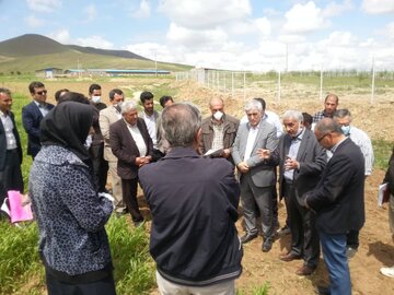 بازدید سرپرست معاونت زراعت وزارت جهاد کشاورزی از مزارع بوکان